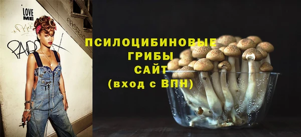 дурь Белокуриха